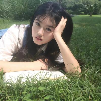 哈兰·科本的庇护所